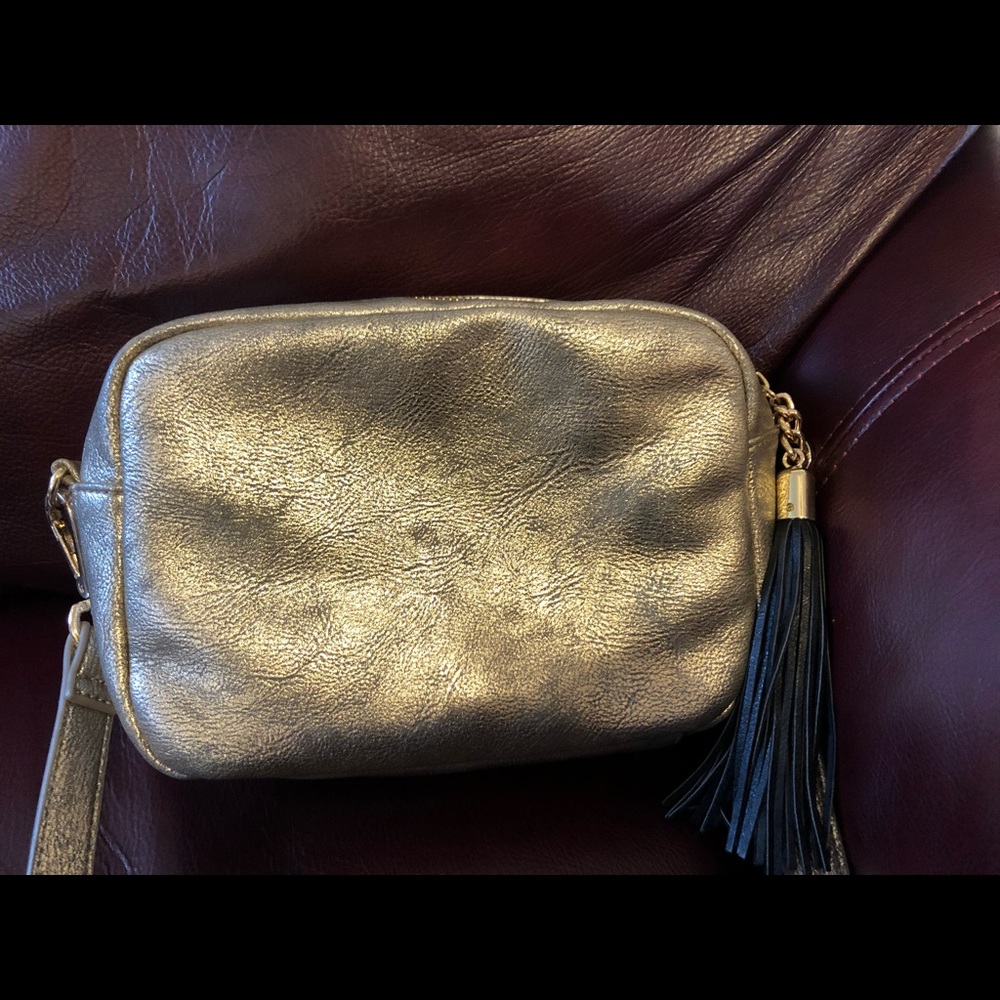 Silver and Gold crossbody bag